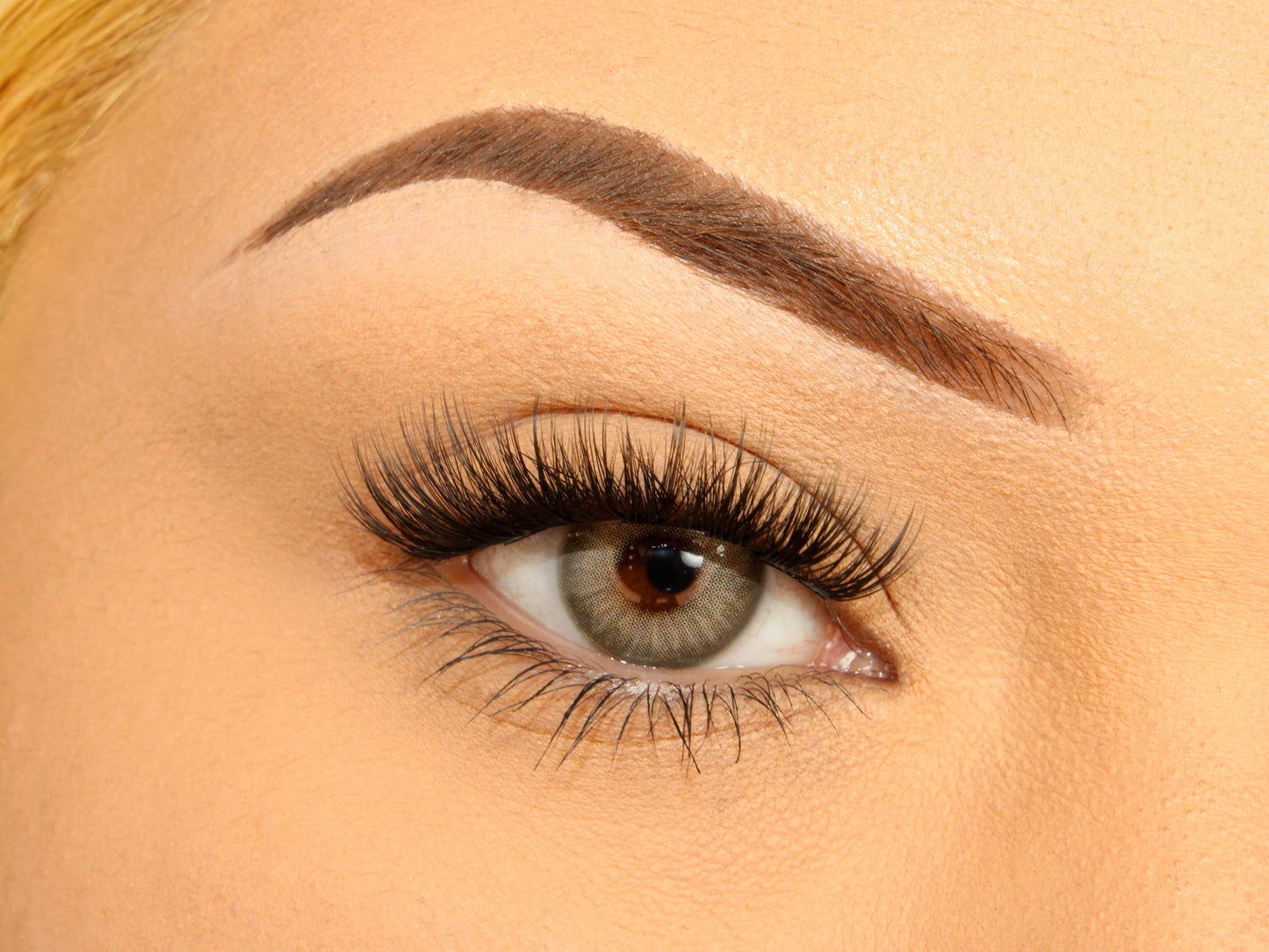 Best Press on Lashes | Fake Press on Lashes | Loud Lashes