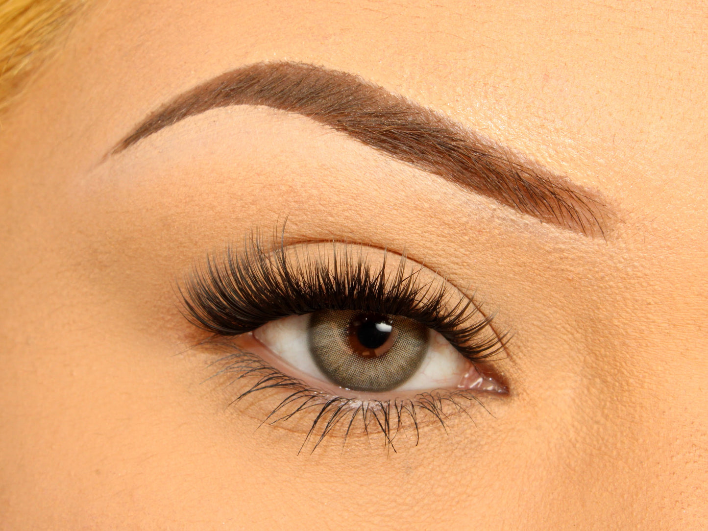 Self Adhesive Fake Eyelashes | Envy Press on Lashes | Loud Lashes