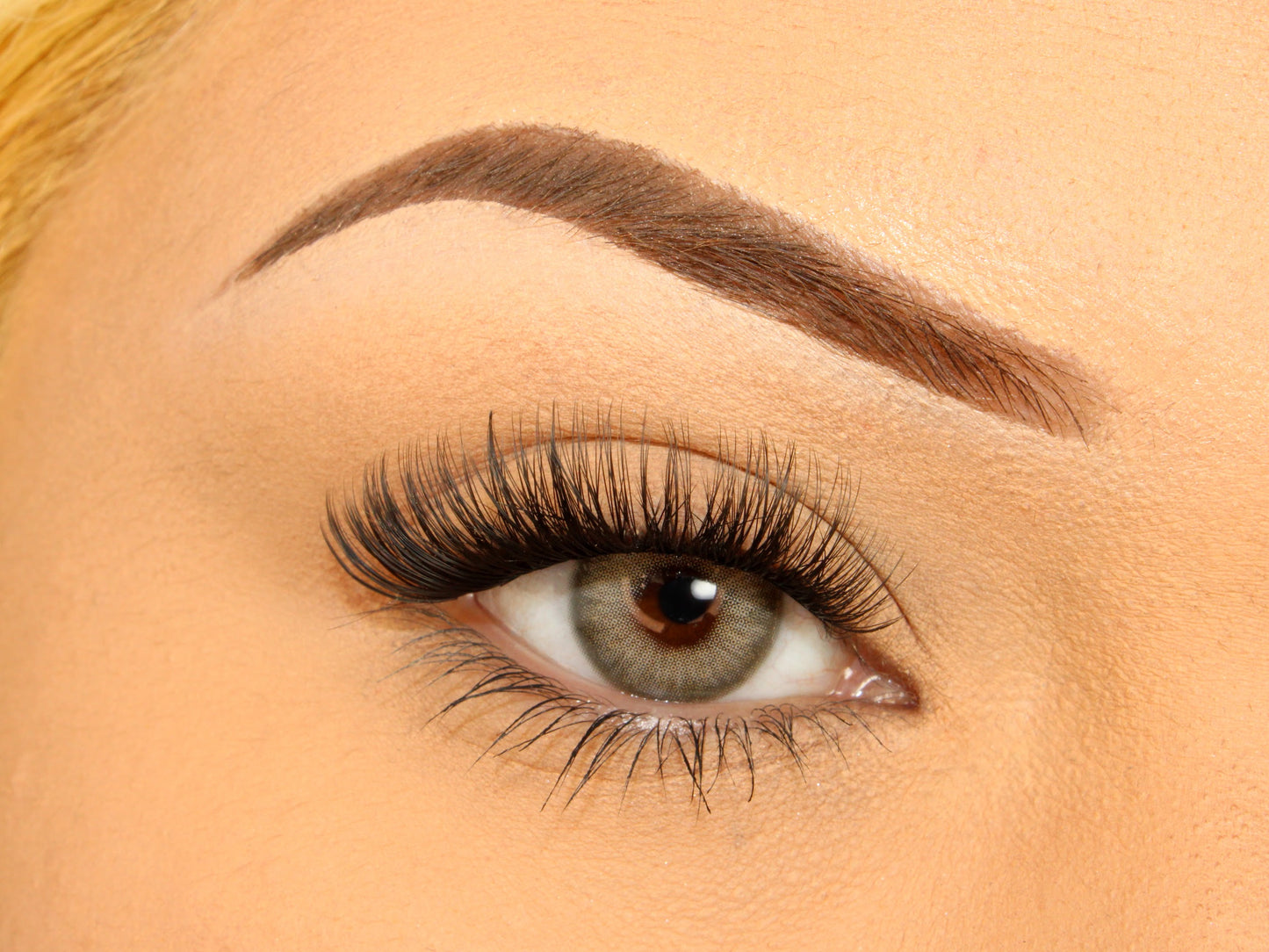 Pre Glued Press on Lashes | Sassy Press on Lashes | Loud Lashes